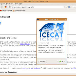 RMS recommends using a combination of IceCat and TOR to surf the web while at the same time protecting your privacy.