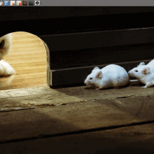 Best of Xfce 2014, featured